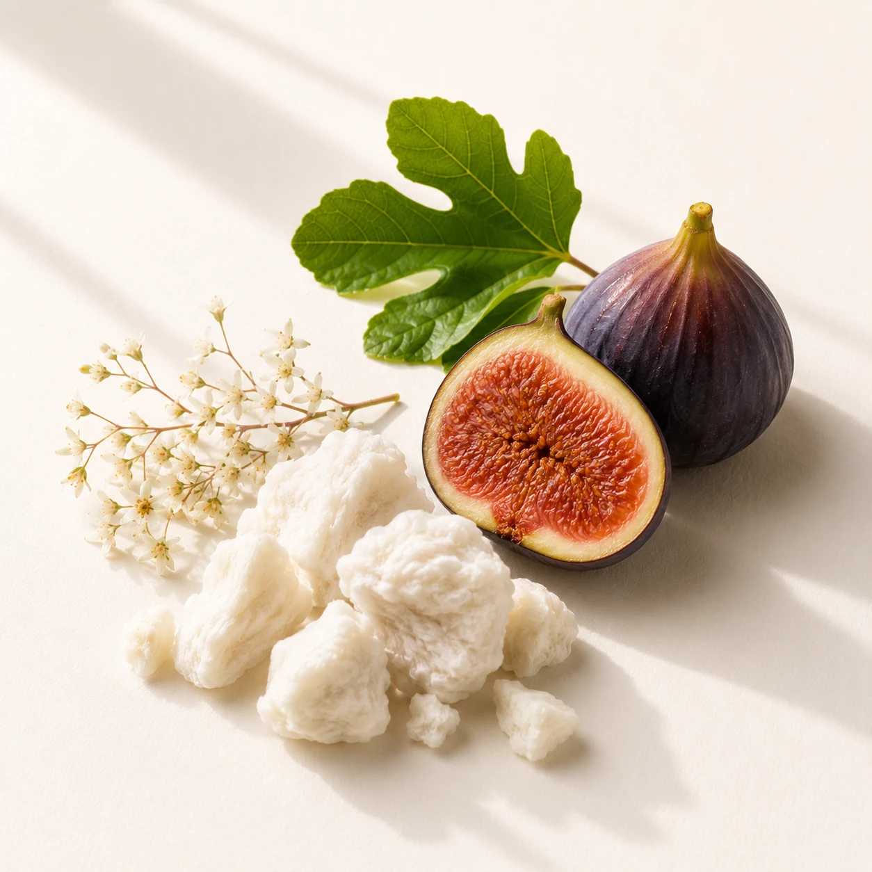 Atmospheric interpretation of fig and musk settle into a soft, skin-close finish.